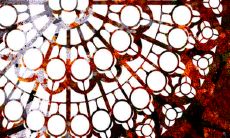 2022年9月22日出生的人命运 有组织才能