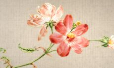 2022年9月17日出生的人命运如何 以自我为中心做事大胆