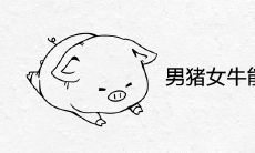 男猪女牛能过一辈子吗 适合做夫妻吗