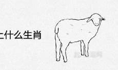 属羊会爱上什么生肖 深爱的人类型