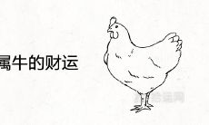 属鸡遇到属牛的财运及婚姻合不合