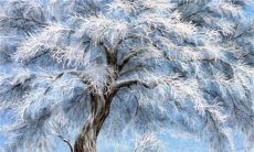 2022年12月29日商铺开张好吗 是不是黄道吉日