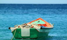 白羊座的性格特点 敢于创新暴躁易冲动