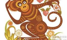 2020年生肖属猴人的运势如何?