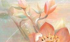 2022年5月18日订亲吉利吗 今日订婚怎么样