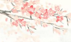 2022年5月19日是订婚吉日吗 办定亲宴合适吗