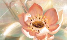 2022年5月17日宜订婚提亲吗 老黄历查询