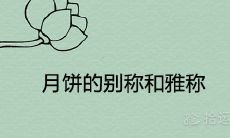月饼的别称和雅称