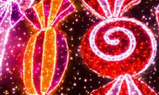 龙妈妈生虎宝宝好不好 在2022年生孩子好不好