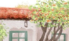 麒麟风水有什么作用