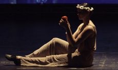 1994年属狗工作的方向 事业发展方位