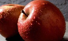 2022年农历8月出生几月怀孕 生虎备孕表