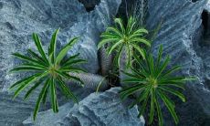 章晨雄姓名评分79分