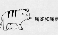 属蛇和属虎兄弟姐妹合得来吗