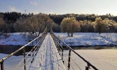 石向农姓名评分87分