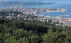 应岸屏姓名评分84分