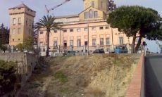 屈云珠姓名评分85分