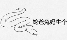 蛇爸兔妈生个虎宝宝好不好