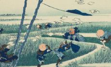 1983年属猪走大运30年是真的吗