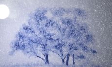 1987年属兔什么时候遇到真爱 正缘出现的时间