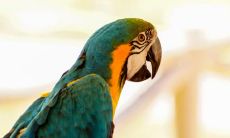 邱占疆姓名评分79分