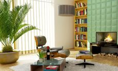 进门正对什么植物风水好