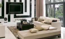 电视墙两边放什么花招财又好看