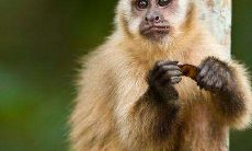 按生肖五行分析1992年是什么命 缺什么