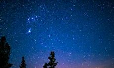 1980年属猴的人一生运势分析