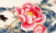 客厅东墙忌讳挂什么画