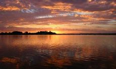 苦命属猴人几月出生