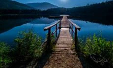 属猴人1月份出生的命运好不好