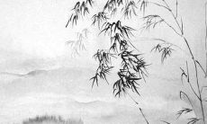 2022年正月十三适合订婚吗 是订婚吉日吗