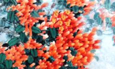 2022年正月初五订婚好不好 提亲需要注意事项