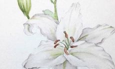 2022年正月初一宜订婚吗 今日订亲吉利么