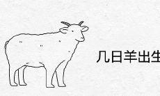 几日羊出生最好命大富大贵