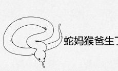 蛇妈猴爸生了个虎宝宝怎么办