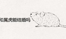 2022年属鼠和属虎能结婚吗