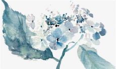 2023年有大灾难的生肖 切勿心急脚踏实地