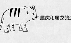 属虎和属龙的适合做兄妹吗