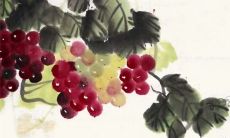 十兔九苦,哪个月份最苦 注定坎坷生活不顺