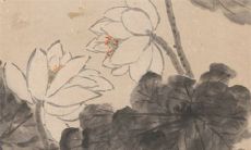 1987年兔2023年感情婚姻 脱单不易感情不佳