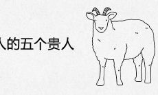 属羊人的五个贵人