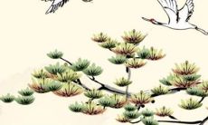 87年兔子2023年本命年能结婚吗 人生低谷积极面对