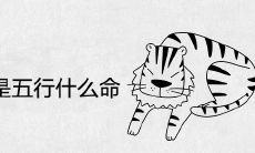 2022年虎宝宝是五行什么命
