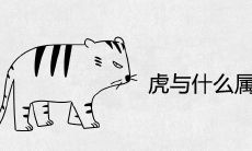 虎宝宝与什么属相父母好