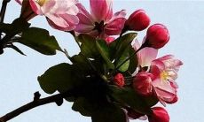 2023年走大运的属相 事业有成财源滚滚