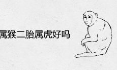 头胎属猴二胎属虎好吗