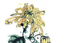 2023生肖猴女运势如何 升职加薪心态平和