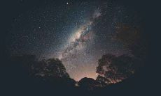 木猴年好不好 木猴人命运性格如何